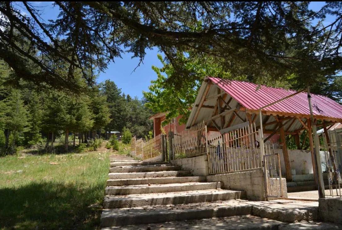 Klamoks BID 1000 mg Yan Etkileri Nelerdir?