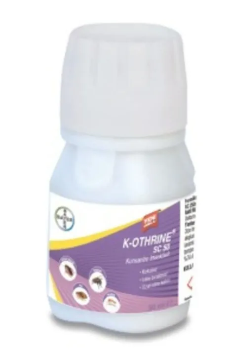 Claire Obscure Expedition 33: Bir Fırça Darbesiyle Yazılan Kıyamet Hikâyesi