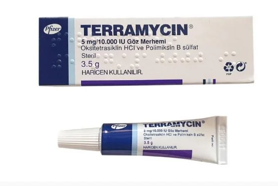 Terramycin Göz Merhemi Nedir? Terramycin Göz Pomadı Nasıl Kullanılır? Terramycin Fiyatı 2025