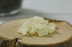 Damla Sakızının Faydaları Neler | Damla Sakızı Neden Yapılır? Damla Sakızı Günde Ne Kadar Tüketilmeli? 